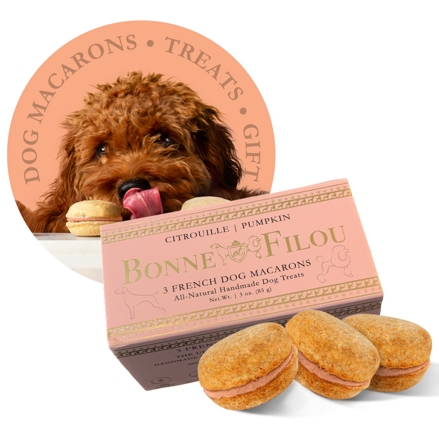 Dog Macarons (Box of 3)