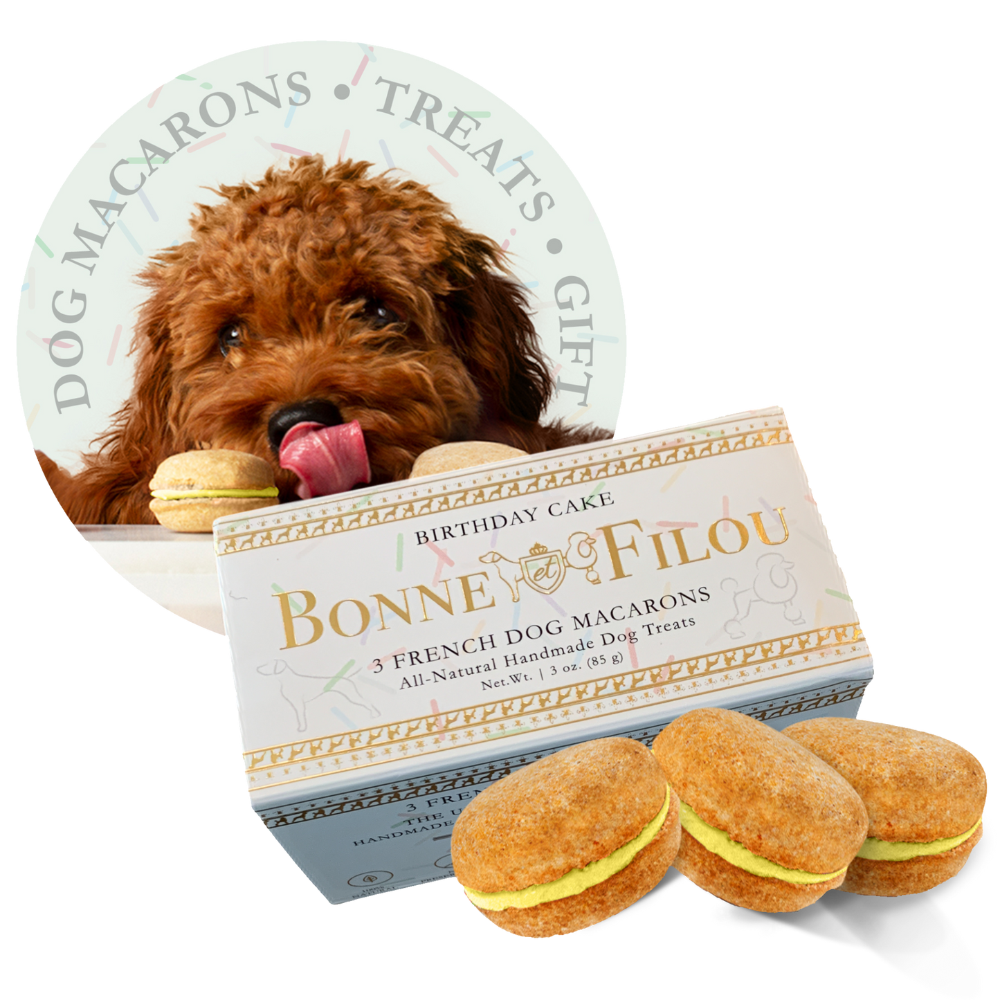 Dog Macarons (Box of 3)