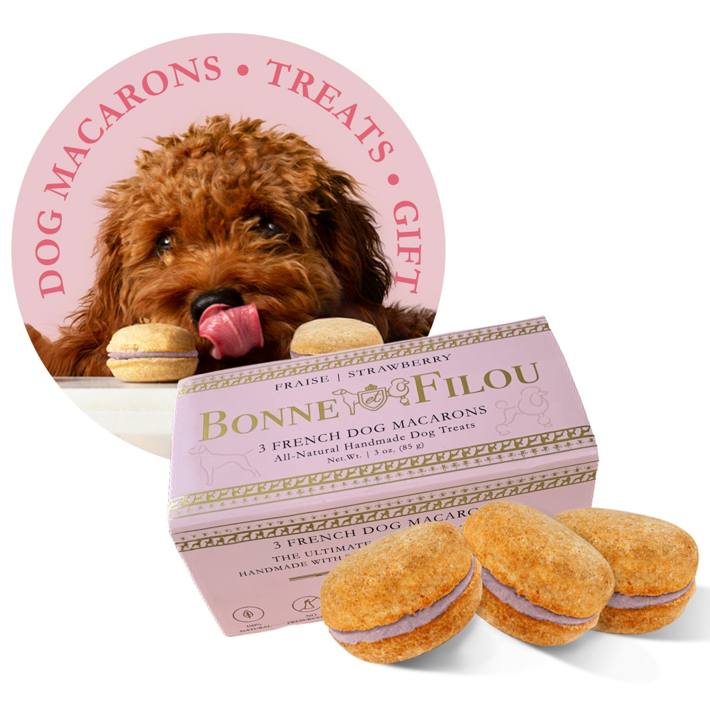 Dog Macarons (Box of 3)