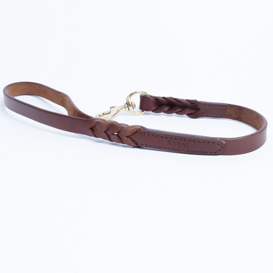 Braided Traffic Leash