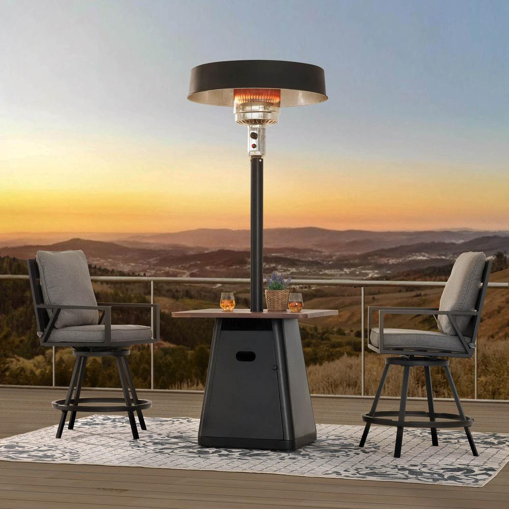 Sunjoy 40,000 BTU Matte Black Steel Frame Outdoor Patio Propane Gas Heater