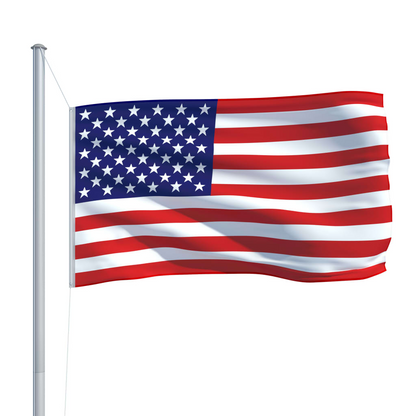 vidaXL US Flag 35.4"x59.1"