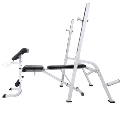 vidaXL Workout Bench with Weight Rack, Barbell and Dumbbell Set 264.6 lb