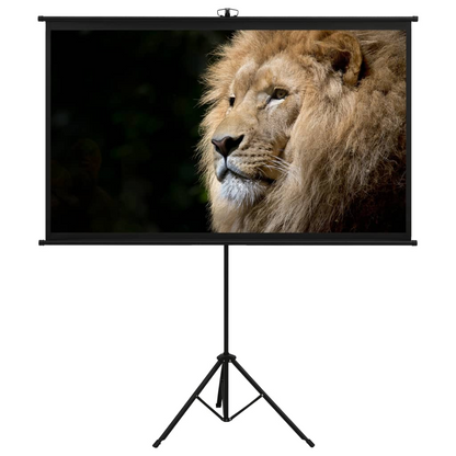 vidaXL Projection Screen with Tripod 60" 4:3