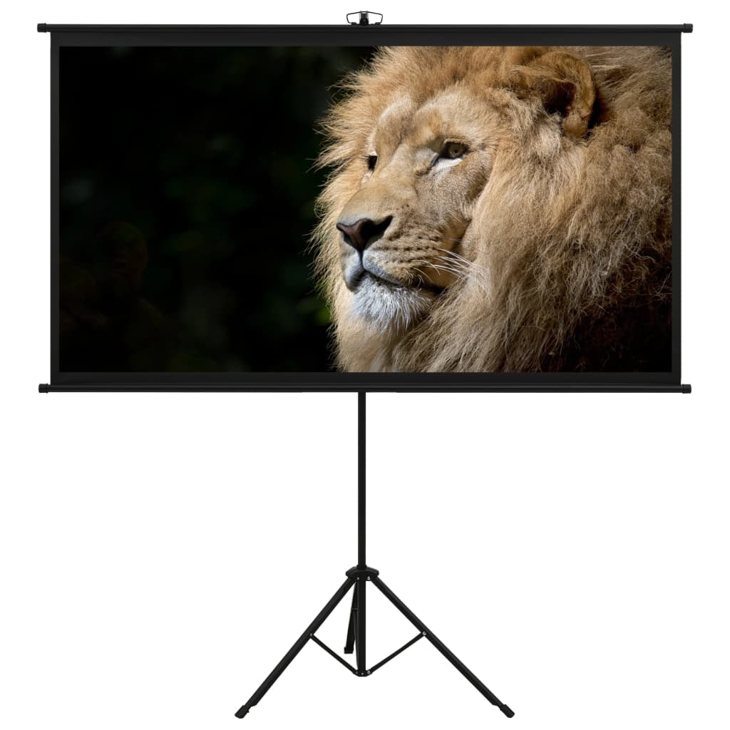 vidaXL Projection Screen with Tripod 90" 16:9