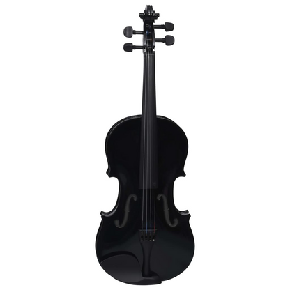 vidaXL Violin Full Set with Bow and Chin Rest Black 4/4