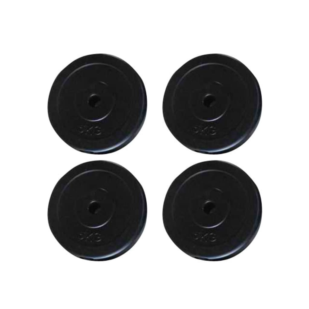 vidaXL Weight Plates 4 pcs 44.1 lbs