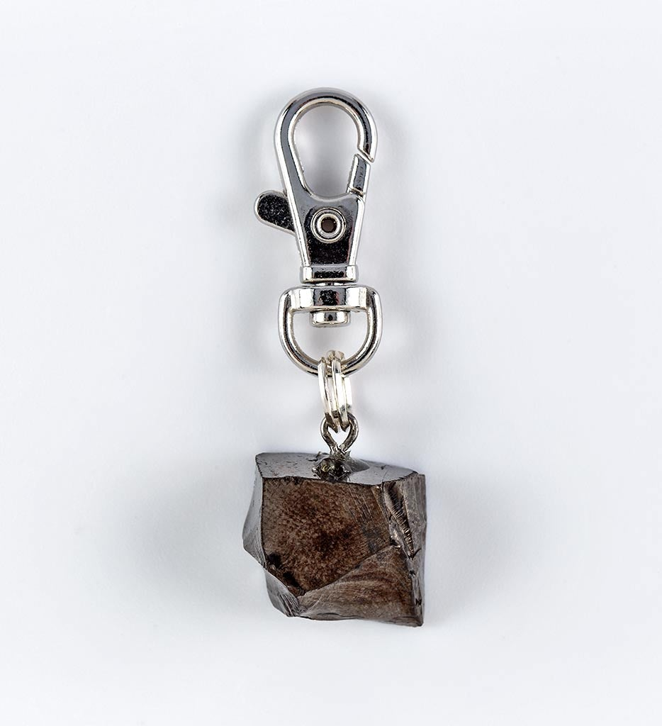 Shungite Pet Charm