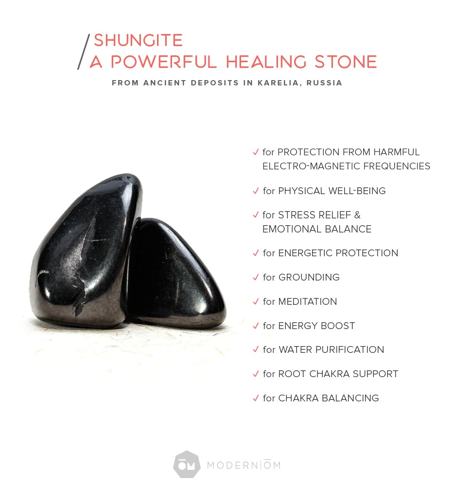 Shungite Pet Charm