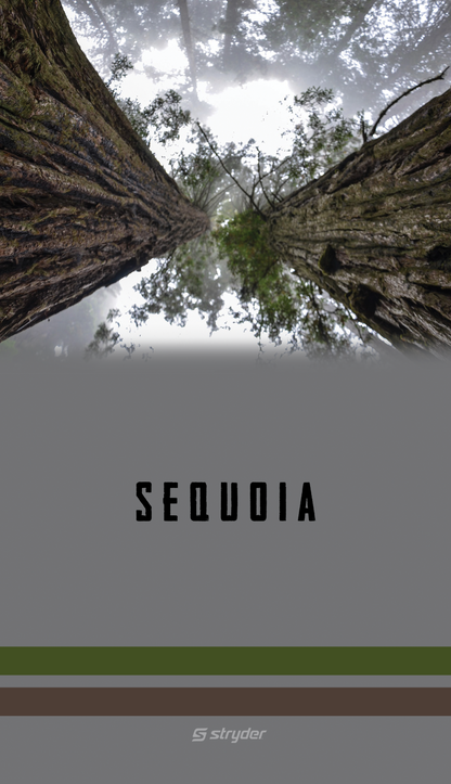 Sequoia Trees Gaiter