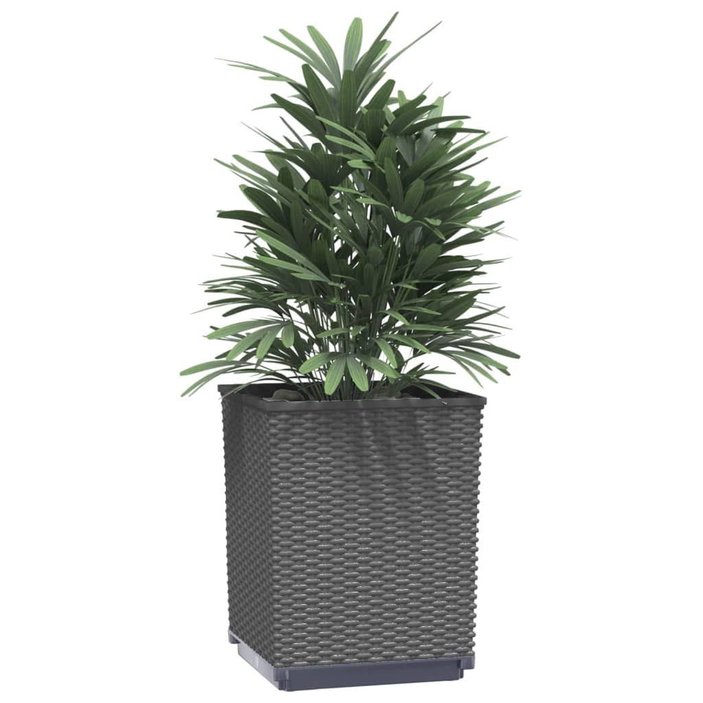 vidaXL Planters 2 pcs Black 11.8"x11.8"x14.6" Polypropylene