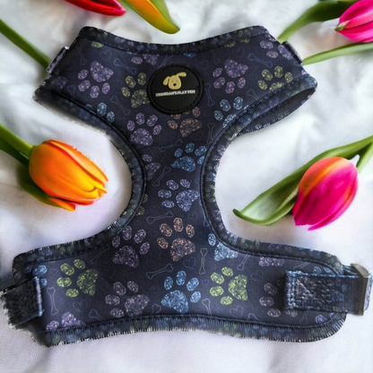 Finnigan's Paws Up Harness