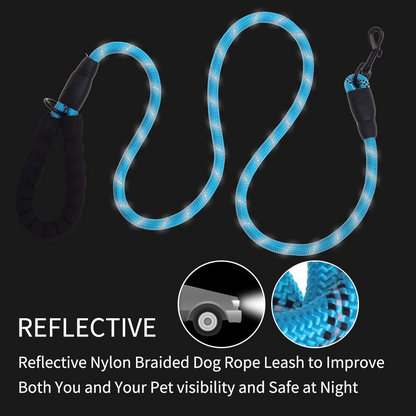 5 FT Thick Highly Reflective Dog Leash- Blue