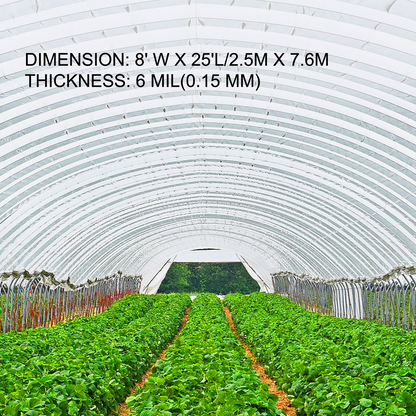 VEVOR Greenhouse Film 8 x 25 ft, Greenhouse Polyethylene Film 6 Mil, Clear Greenhouse Plastic Greenhouse Plastic Film UV Resistant, Polyethylene Film to Keep Warming, Superior Strength