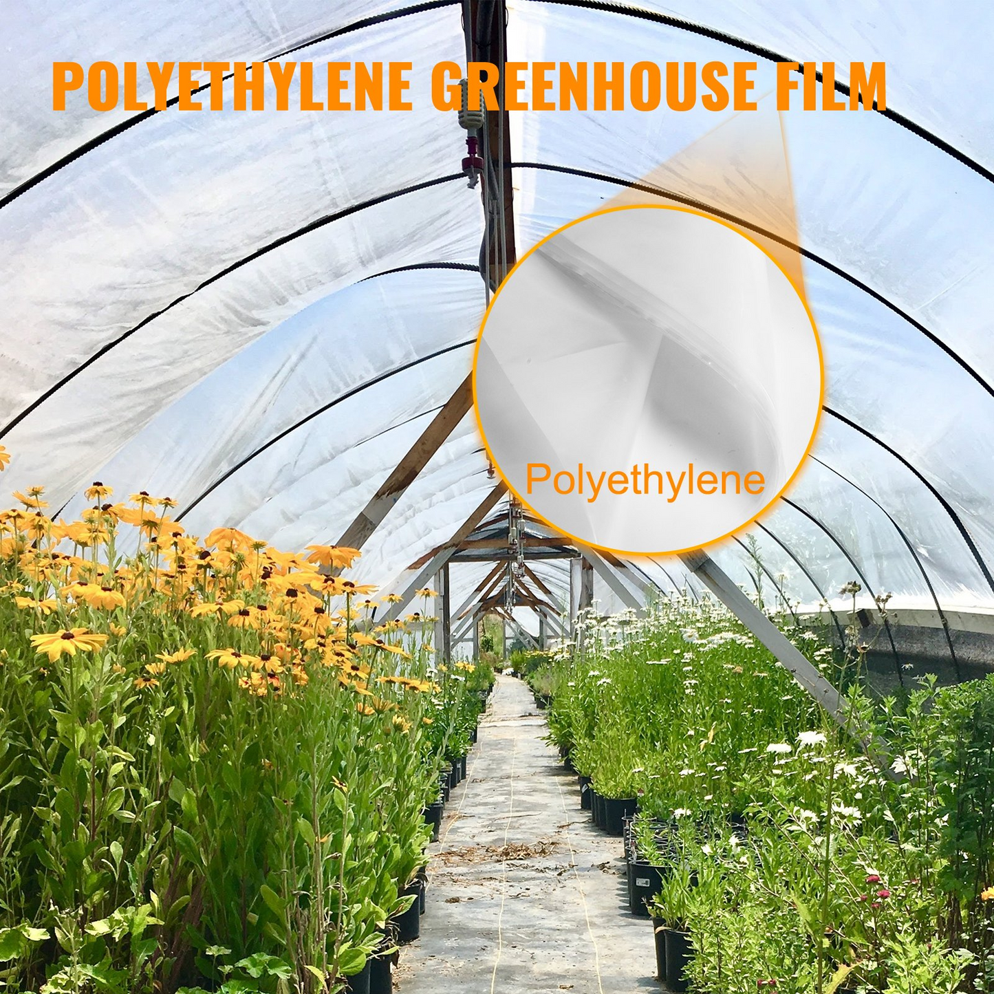 VEVOR Greenhouse Film 16 x 28 ft, Greenhouse Polyethylene Film 6 Mil Thickness, Greenhouse Plastic Greenhouse Clear Plastic Film UV Resistant, Polyethylene Film Keep Warming, Superior Toughness