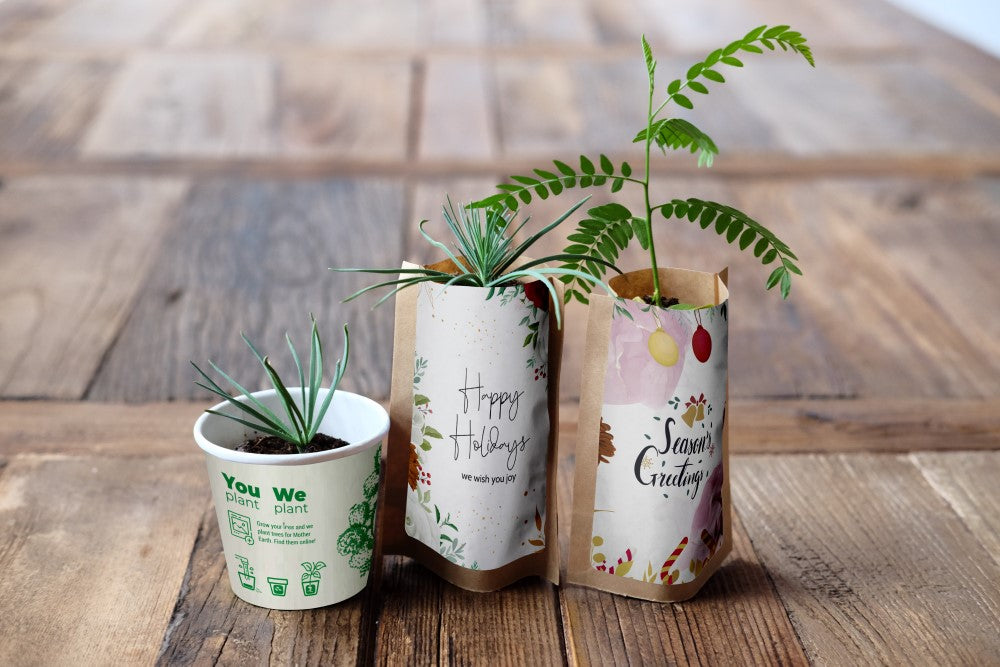 Happy Holidays Tree Gift Pack, We Plant 30 Trees